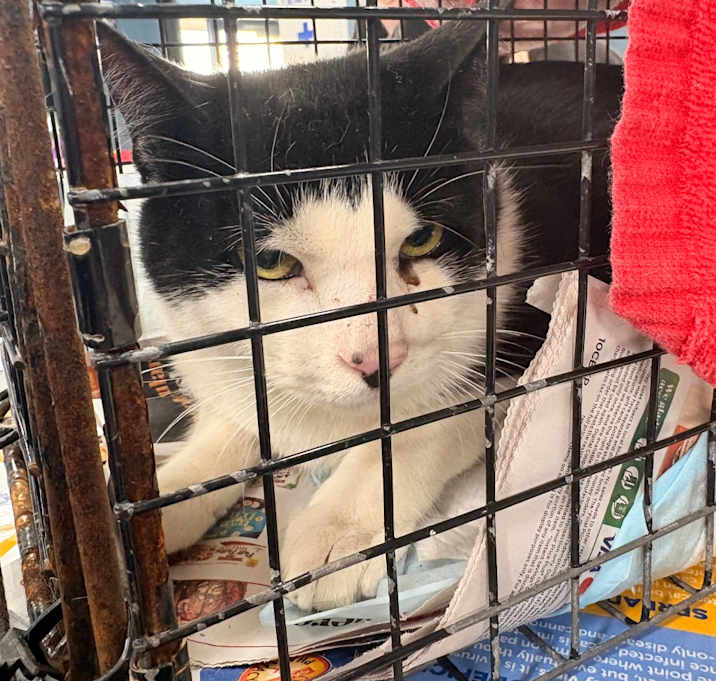 Photo of Stuffed Crust