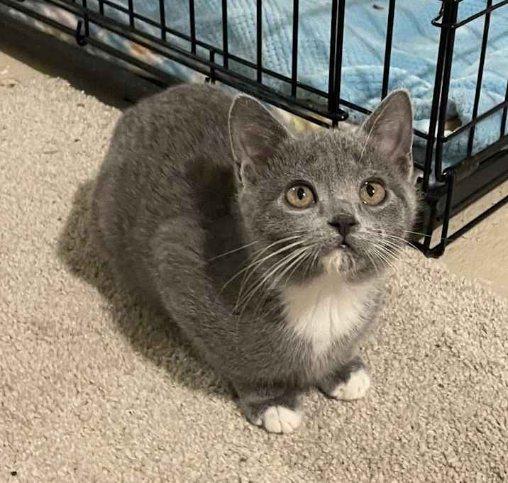 Photo of Lea (with Lily)