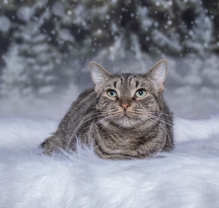 Photo of Little Miss Sunshine