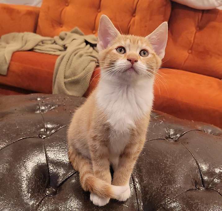 Photo of Aang Irving