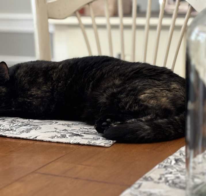 Photo of Sasha & Malia