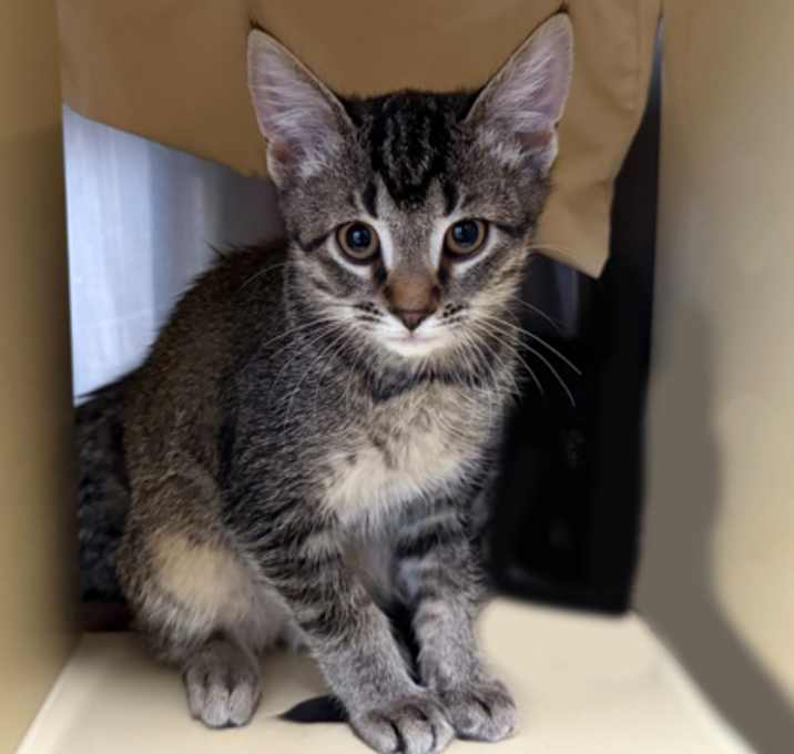 Photo of Fitzpatrick