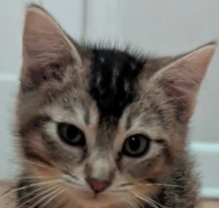 Photo of KW2 Great Sand Dunes