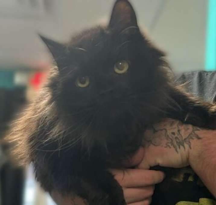 Photo of Sidney Prescott