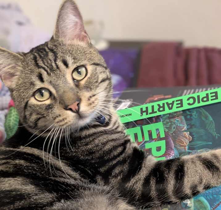 Photo of Captain Malcolm Reynolds