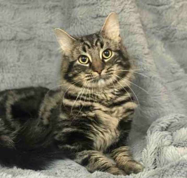 Photo of Skeeter Valentine