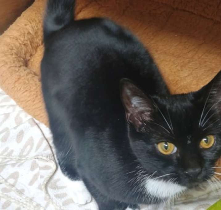 Photo of Tiny Dancer