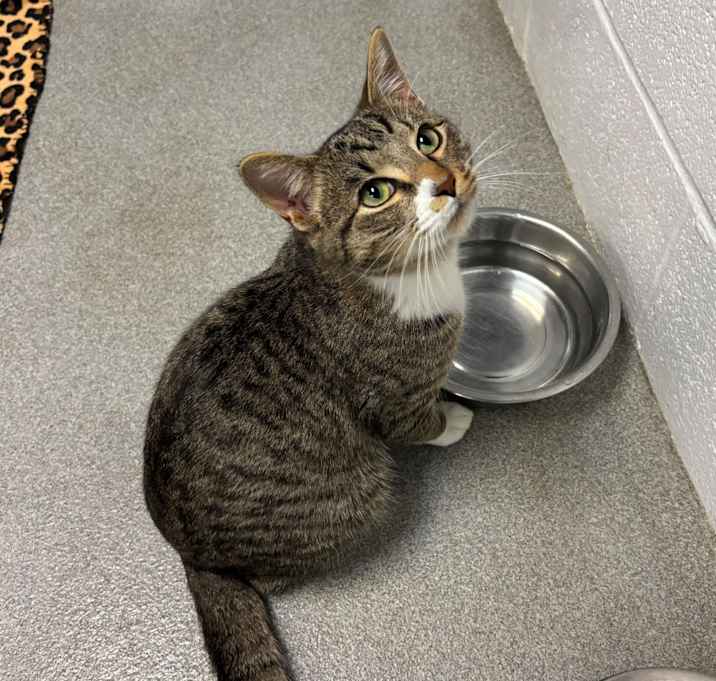 Photo of Chris Kringle