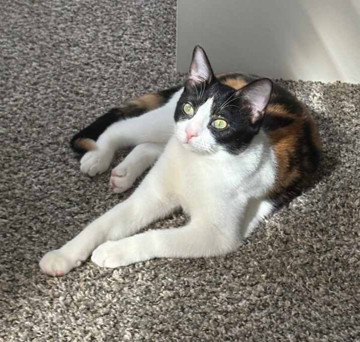 Photo of Taffy Marisol