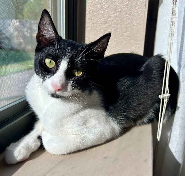 Photo of Penny Big Bang