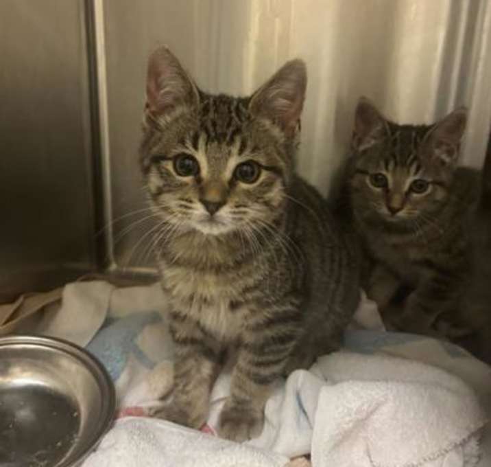 Photo of Marc Jacobs