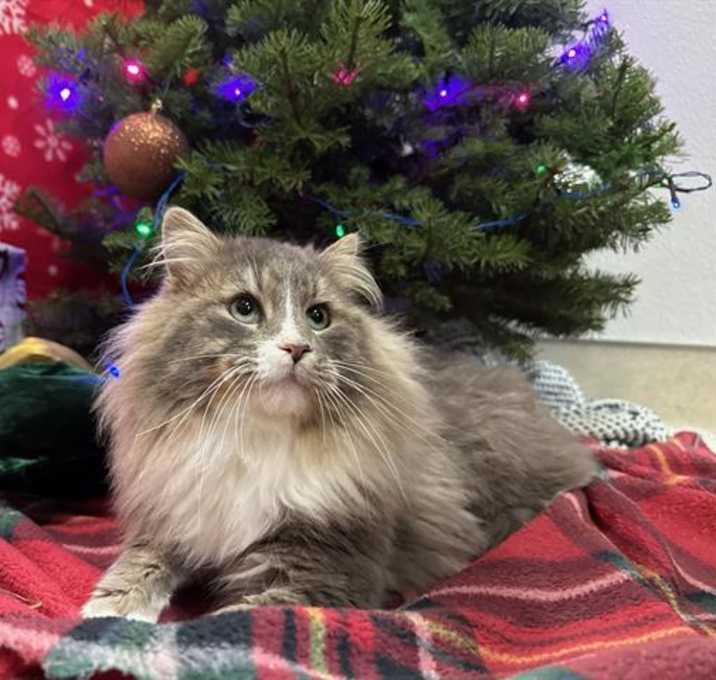 Photo of PRETTY BOY FLOYD