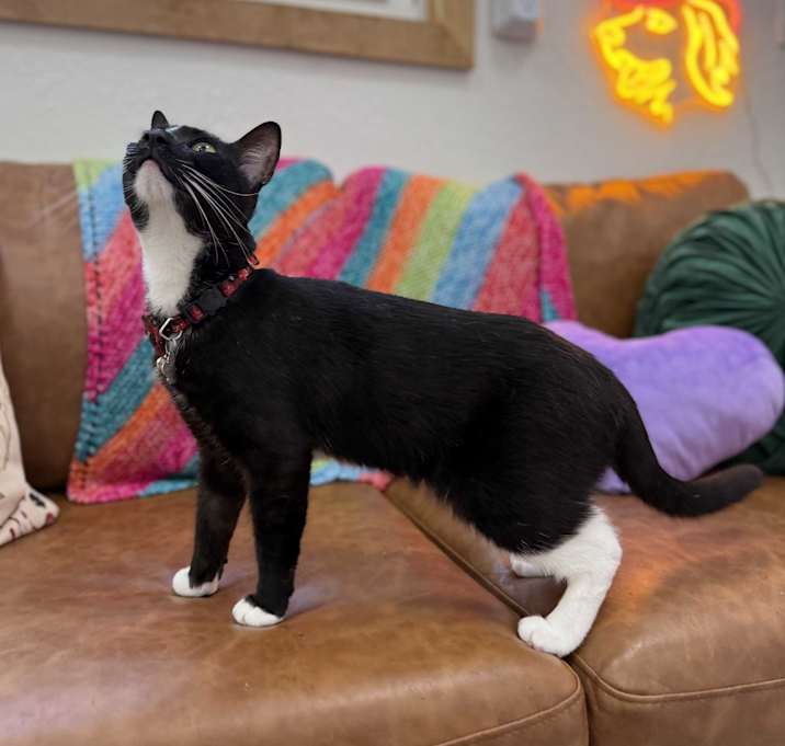 Photo of Wally Lucy Lou