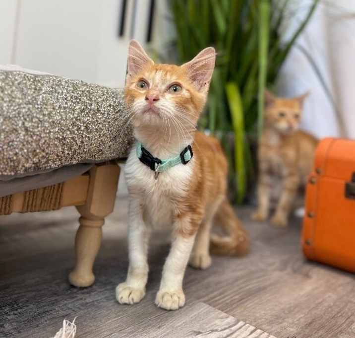 Photo of Paco Manuel