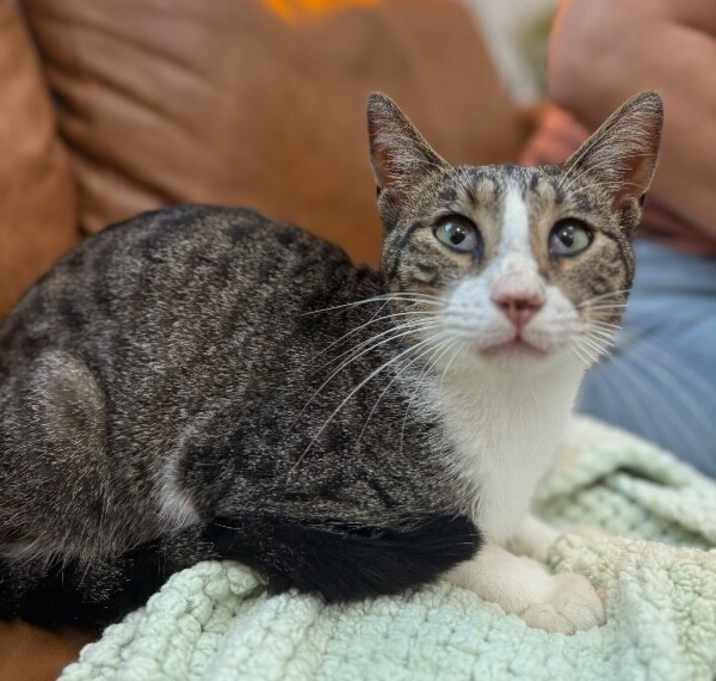 Photo of Noodles Newman