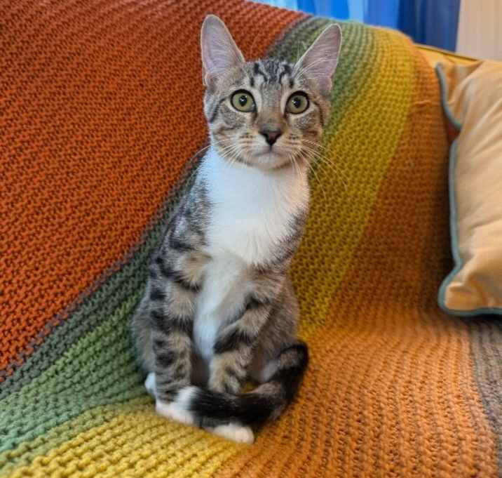 Photo of Pixie Ortega