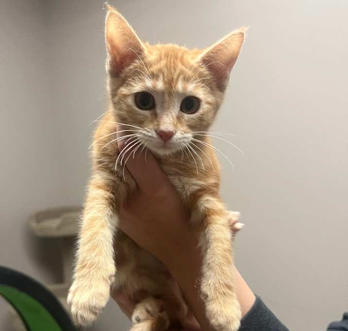 Photo of Ms Otterton