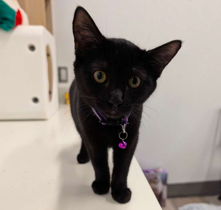 Photo of McCartney (C000-690) - City of Industry Location