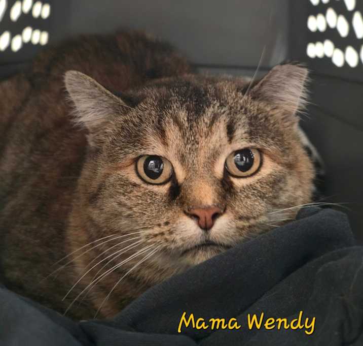Photo of Mama Wendy