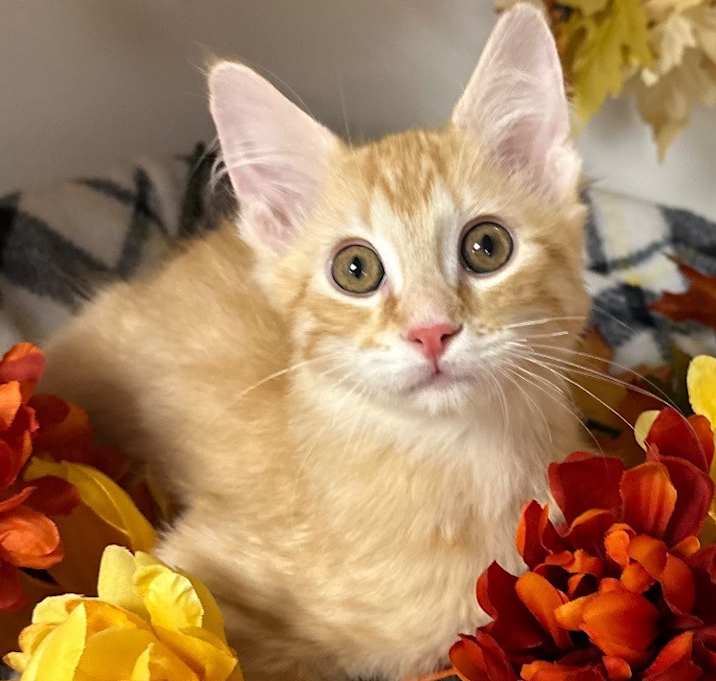 Photo of 8/20/25 - Charm