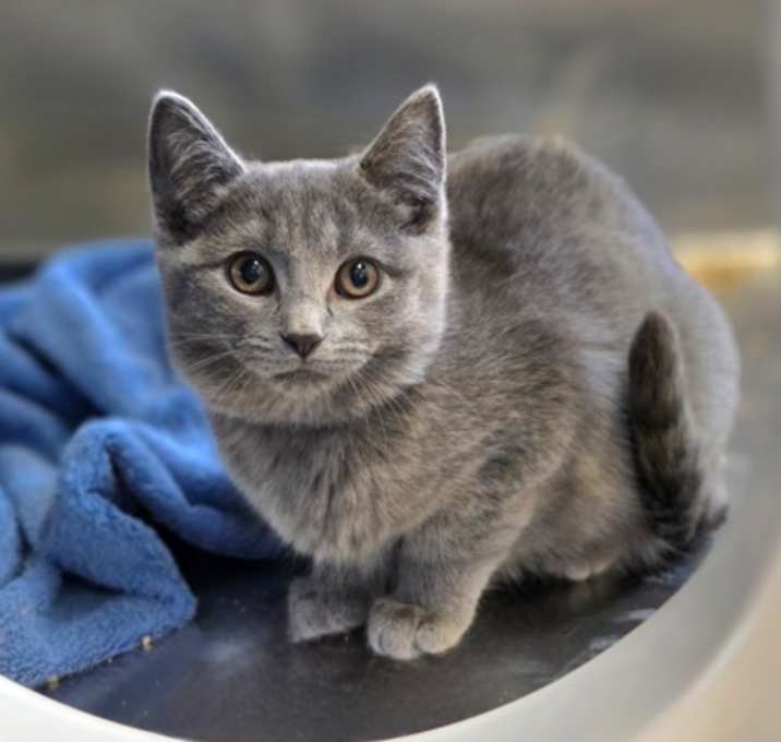 Photo of Patricia Melt