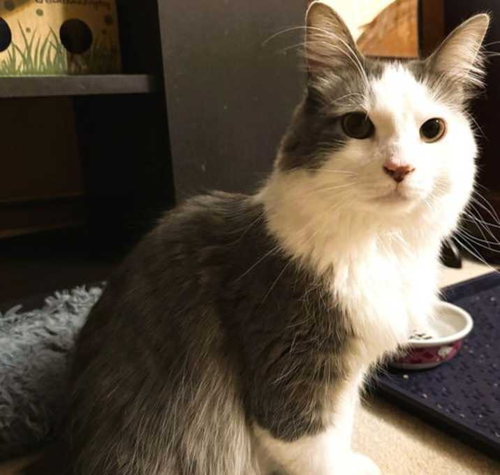 Photo of Squishmallow