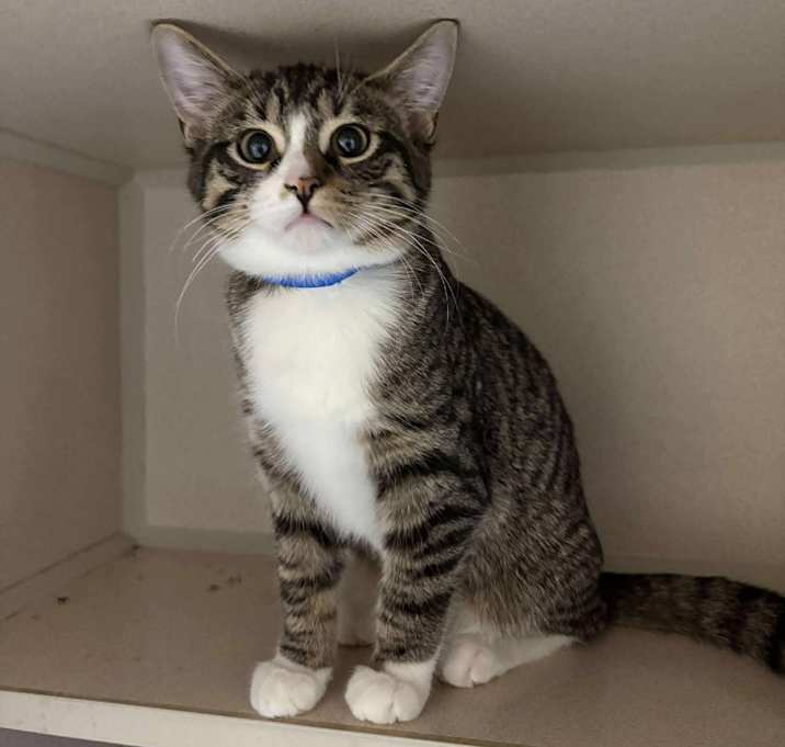 Photo of Nimbus 251006