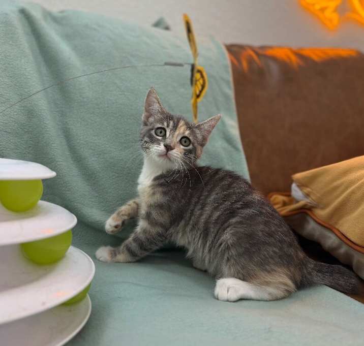 Photo of Austin Barrera