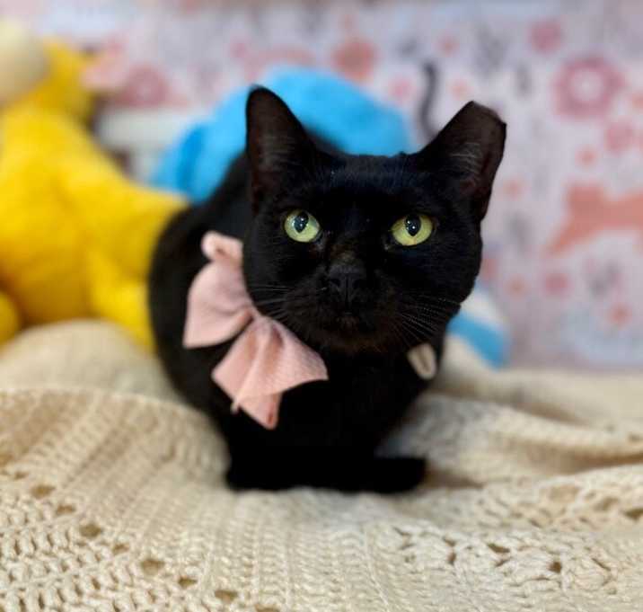 Photo of Annabelle Daniel