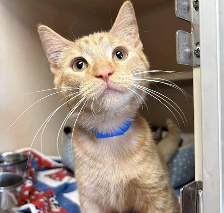 Photo of Moon 250897