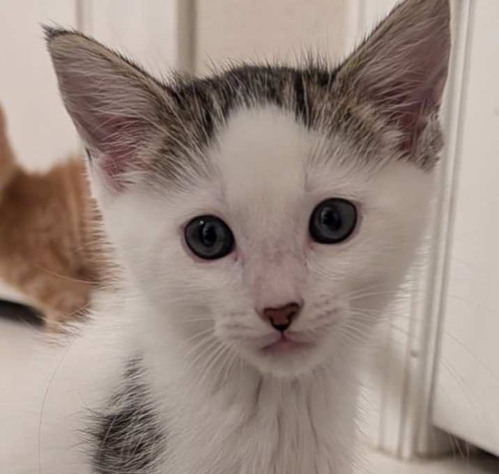 Photo of Bennett 10.15.25