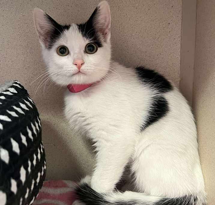 Photo of Cloud 250955