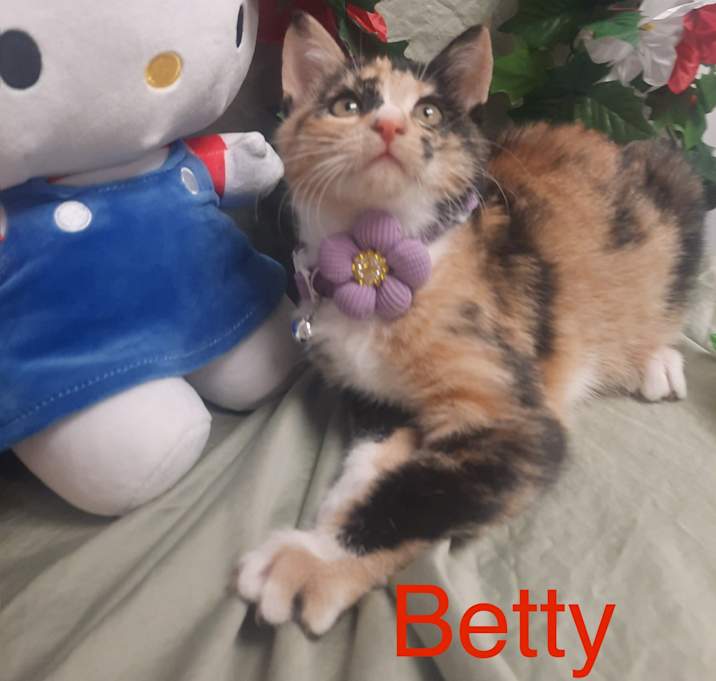 Photo of Betty