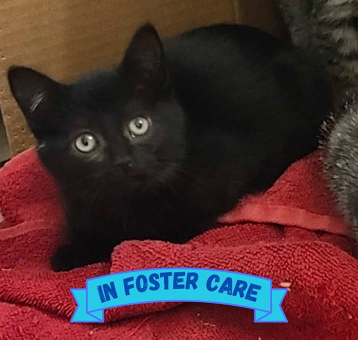 Photo of BENJAMIN BUNNY