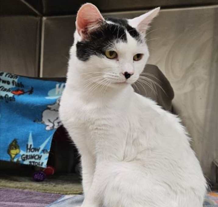 Photo of *TOPO CHICO