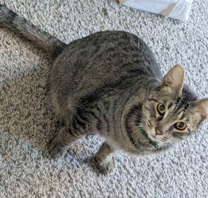 Photo of Lord Owlfred