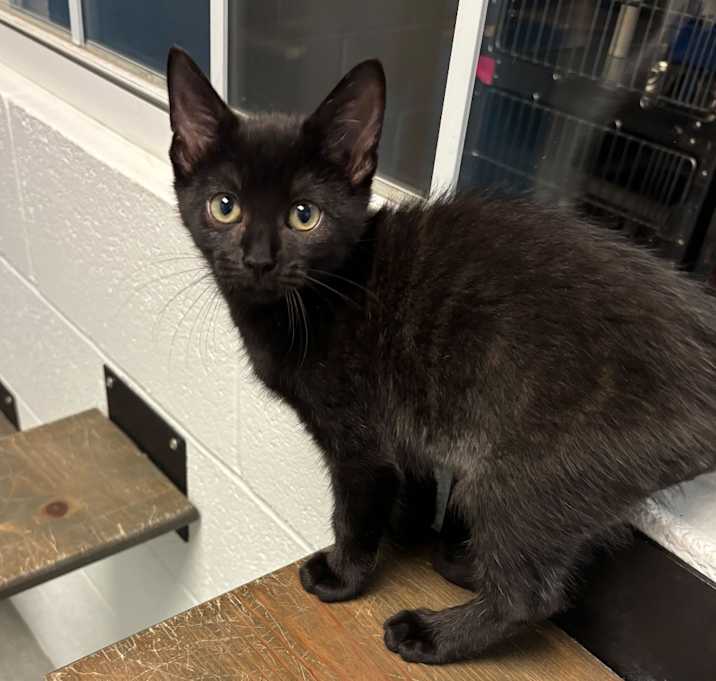 Photo of Wrinkled Pants