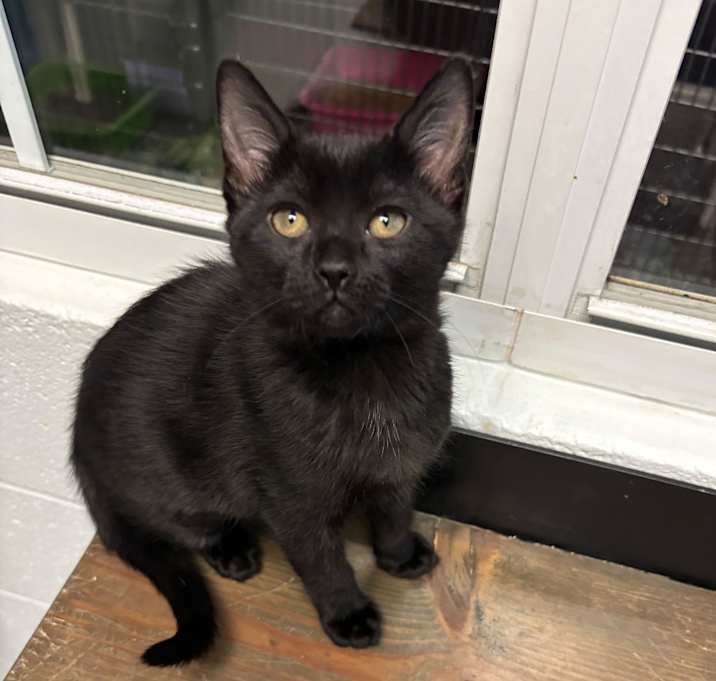 Photo of Mismatched Socks