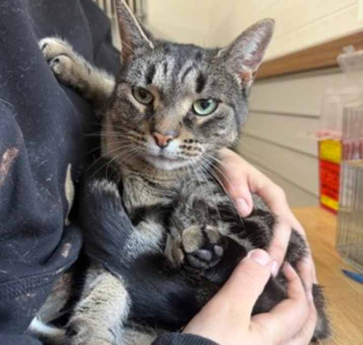 Photo of Kenney Chesney