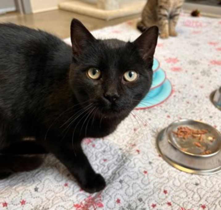 Photo of Dwight - Stratford