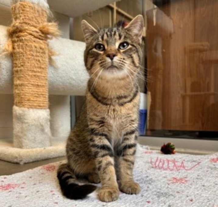 Photo of Jim - Stratford