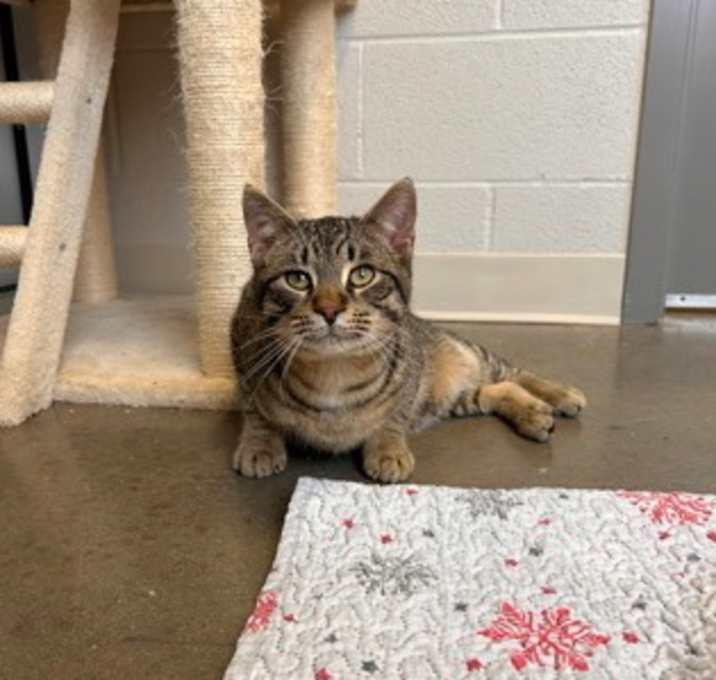 Photo of Michael - Stratford