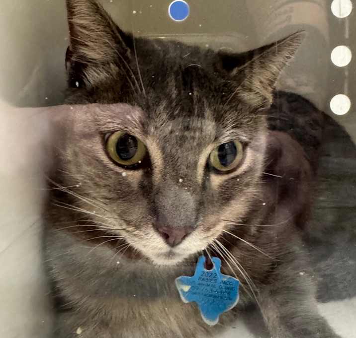 Photo of Charlie Ranger