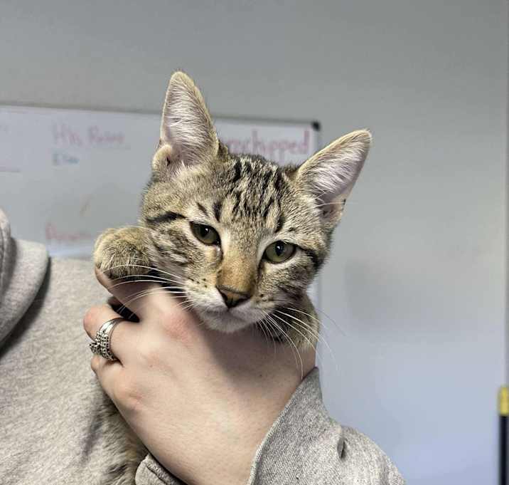 Photo of Nicki Minaj