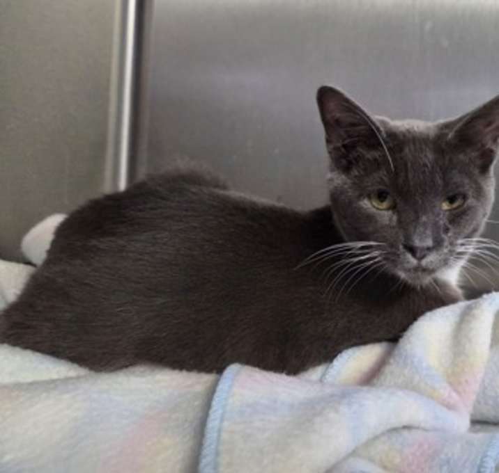 Photo of Mr McFeeley