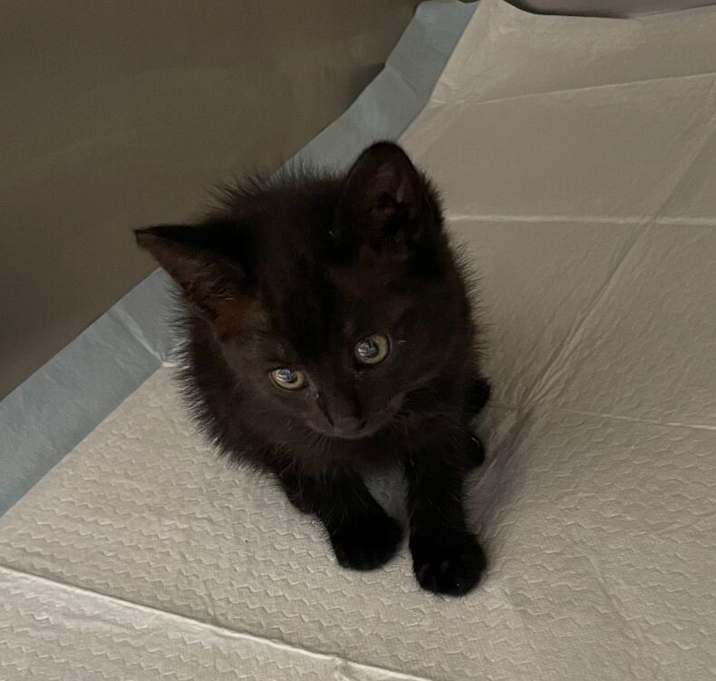 Photo of 062407 - Bali