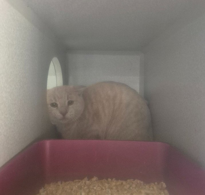 Photo of Groudon 10047B