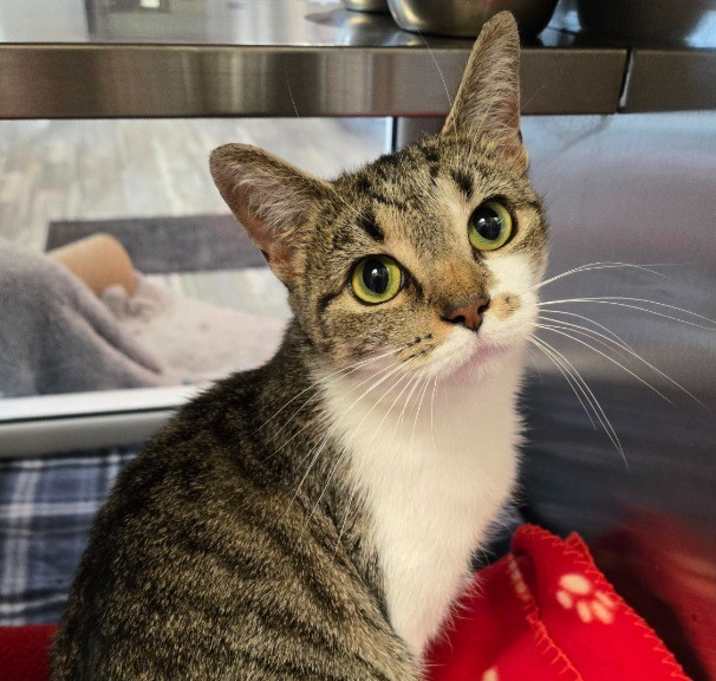 Photo of Pretty Girl