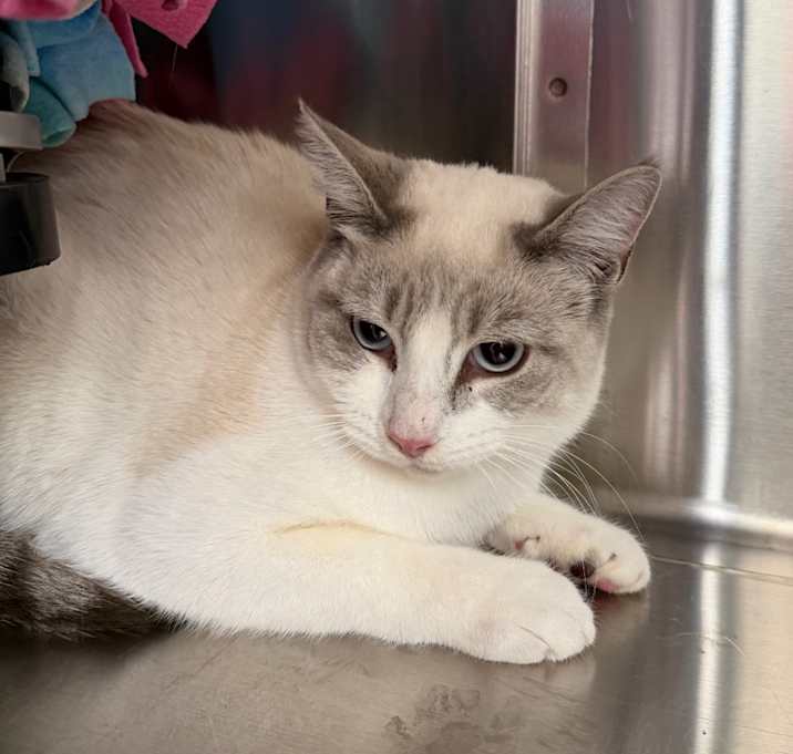 Photo of Aqua Marine 