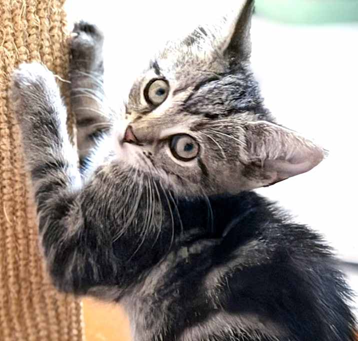 Photo of Peter Cratchit